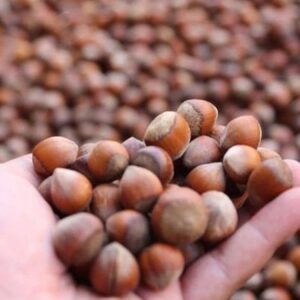 sol partiden findik fiyatina tepki uretici tekellere mahk m ediliyor xs3zblJH