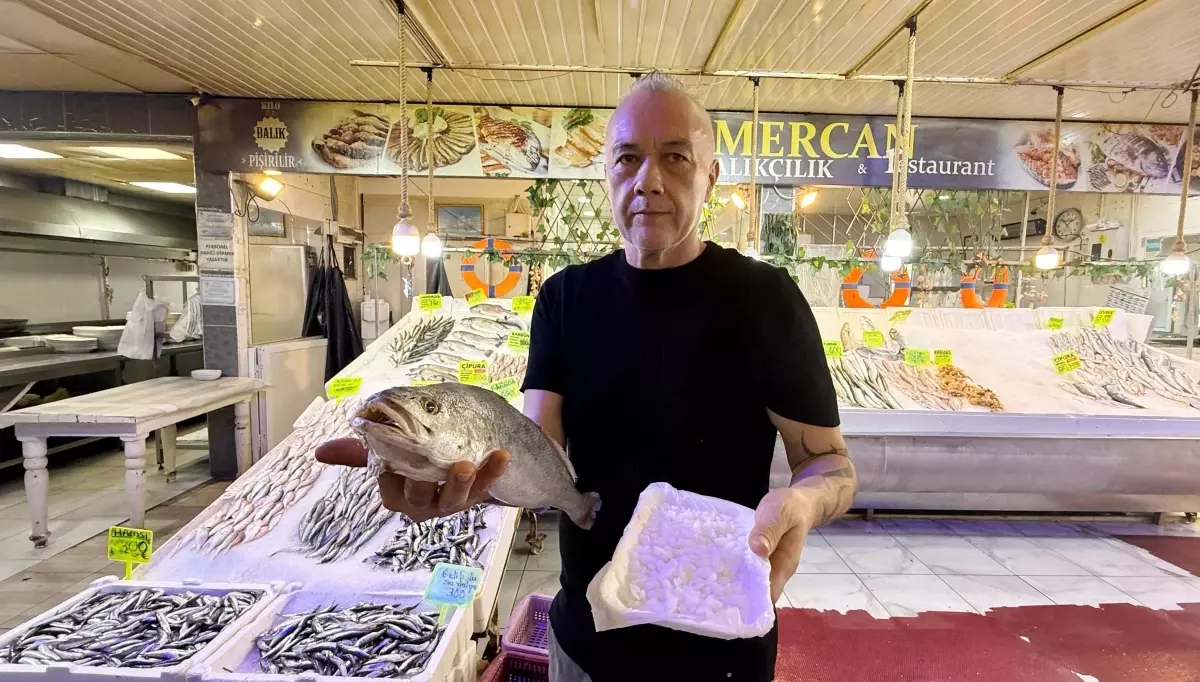 balikta sifali tas inanisi FKkUG7iP