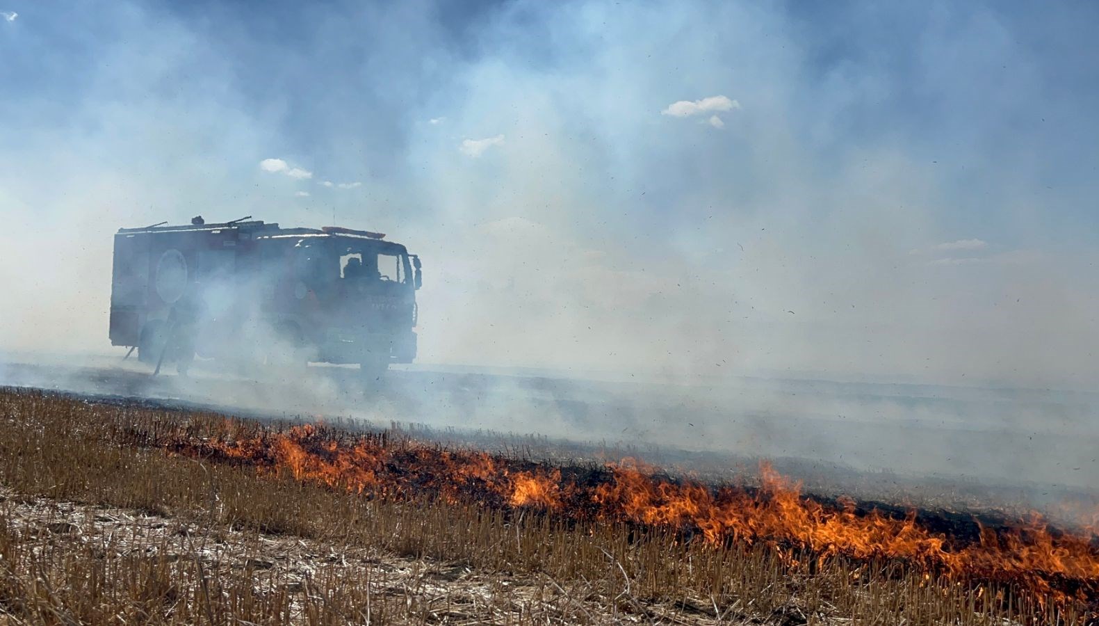 tekirdagda 500 donum aniz kule dondu 2j81MBlp