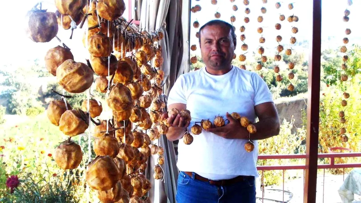 cennet elmasi kurutma gelenegi basladi 6dsXC5jP.jpg