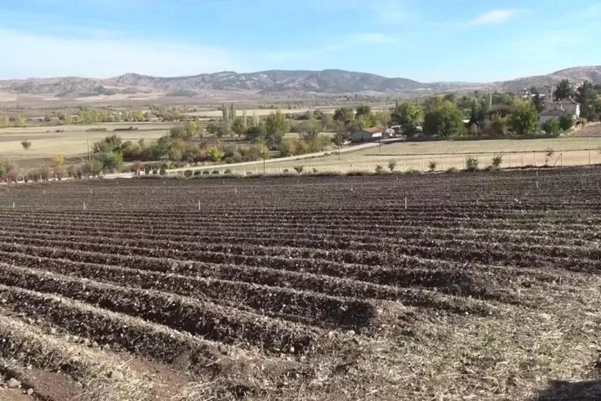 dunyanin en pahalisi 1 grami 500 tlye satiliyor NmTC8TM1.jpg