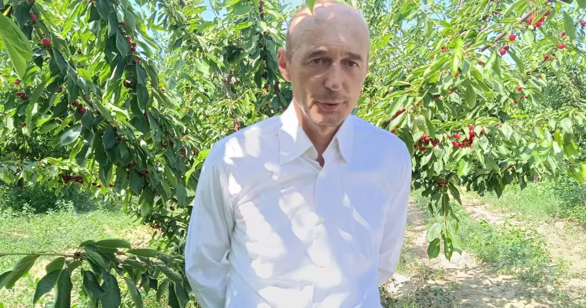 enezde kiraz bahcelerine res koyluleri ayaga kaldirdi fGiiYfnw.webp