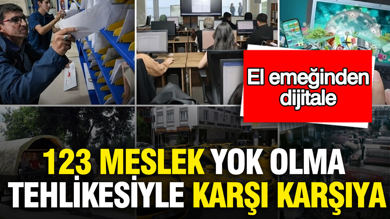 123-meslek-yok-olma-tehlikesiyle-karsi-karsiya-el-emeginden-dijitale-n5FtNpL6
