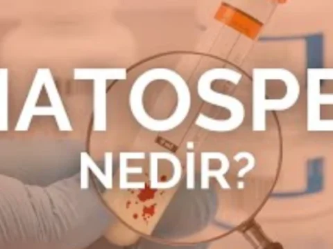 Kanda Sperm Görülmesi: Hematosperm Nedir ve Hangi Durumlarda Endişe Etmeliyiz?