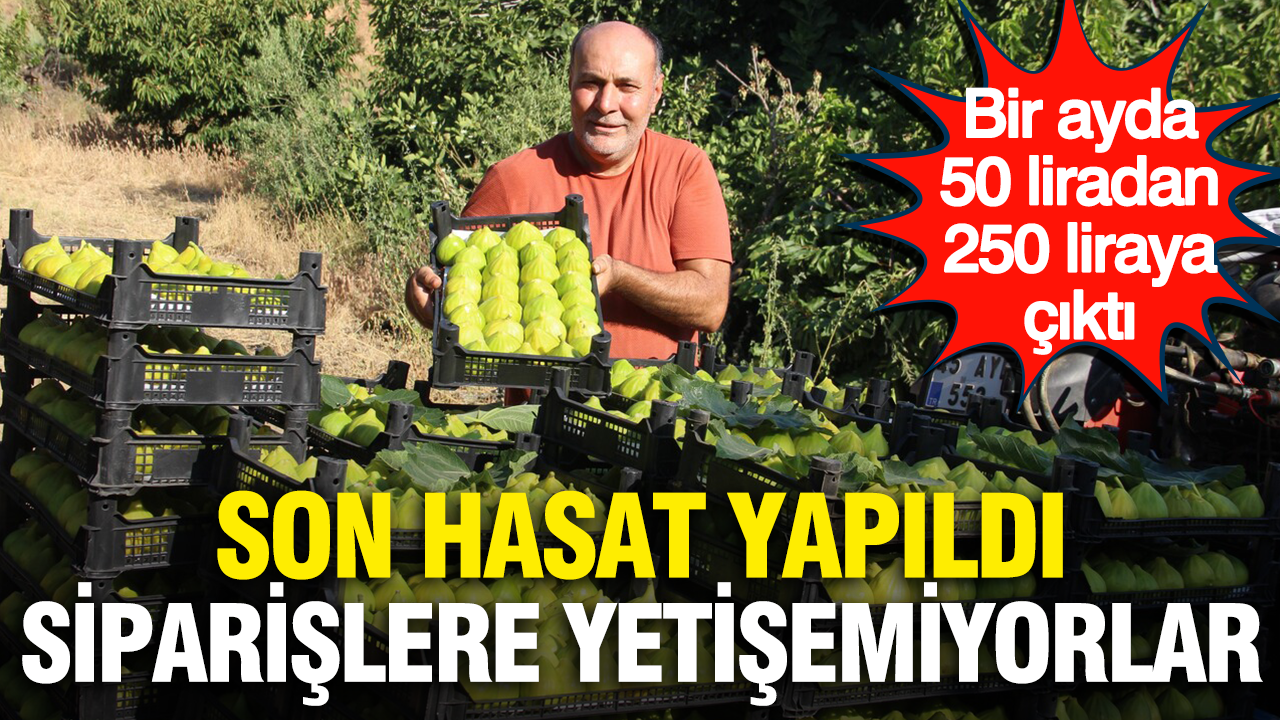 Haber gorseli